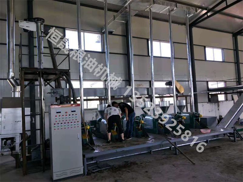 胡麻籽、油菜籽6臺(tái)榨油生產(chǎn)線